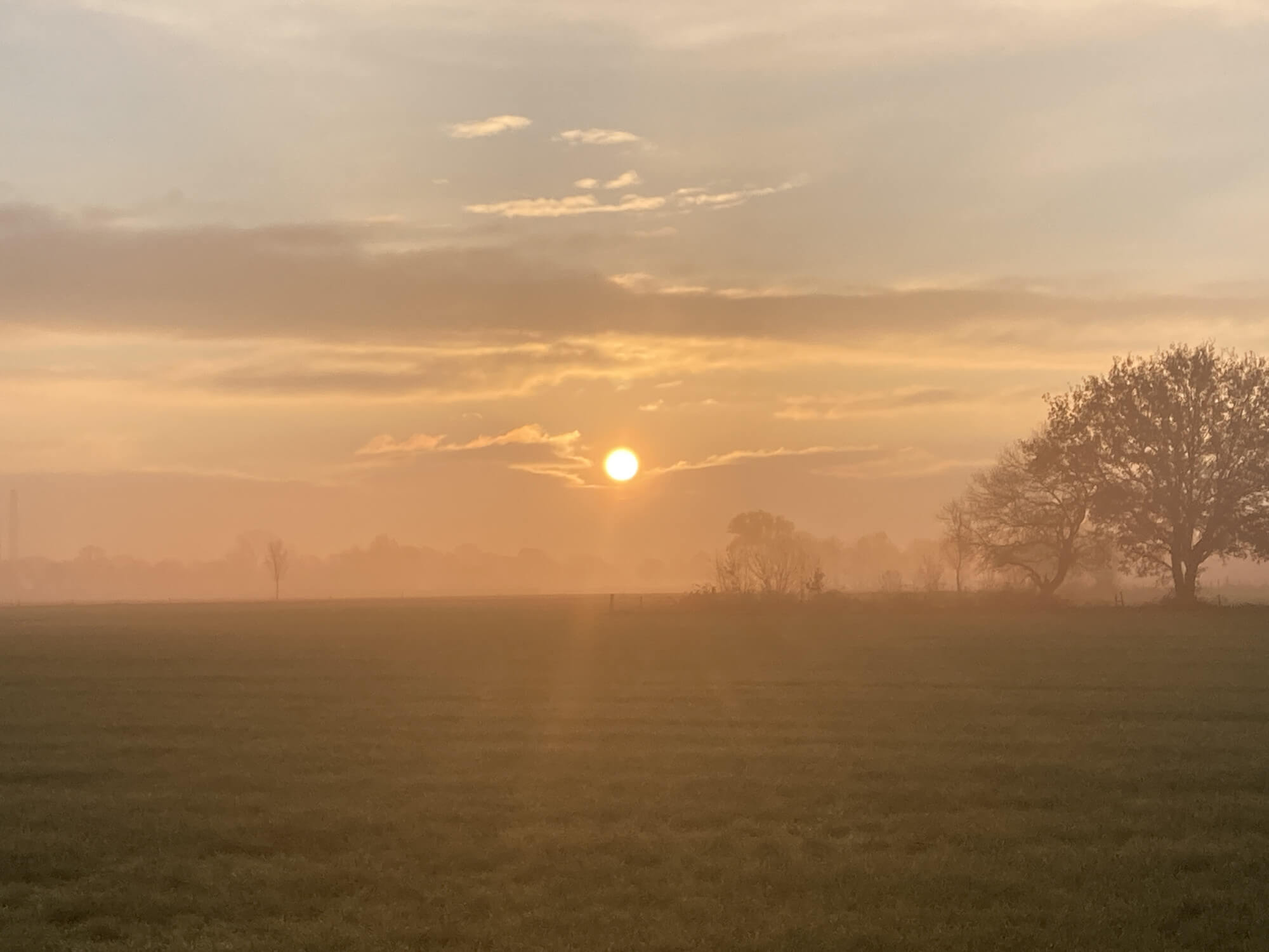 Grafischontwerpzaak natuurliefhebber